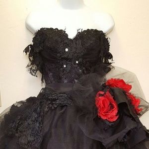 BELLA BLACK SWAN Goth Corset Wedding Ballgown Set